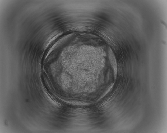 X0000091000390200708301339