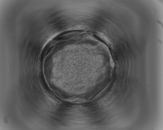 X0000091000392200708301339