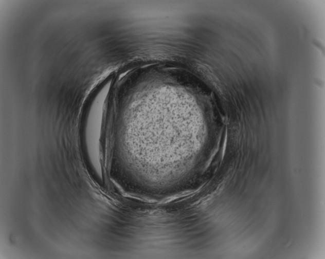X0000091000395200708301339