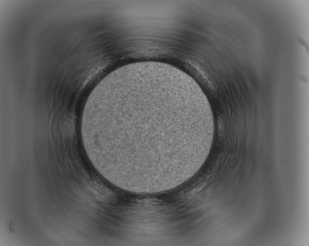X0000091000396200708301339