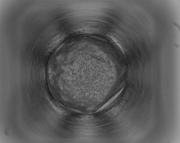 X0000091000398200708301339