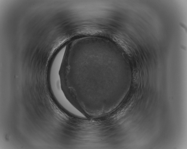 X0000091000399200708301339