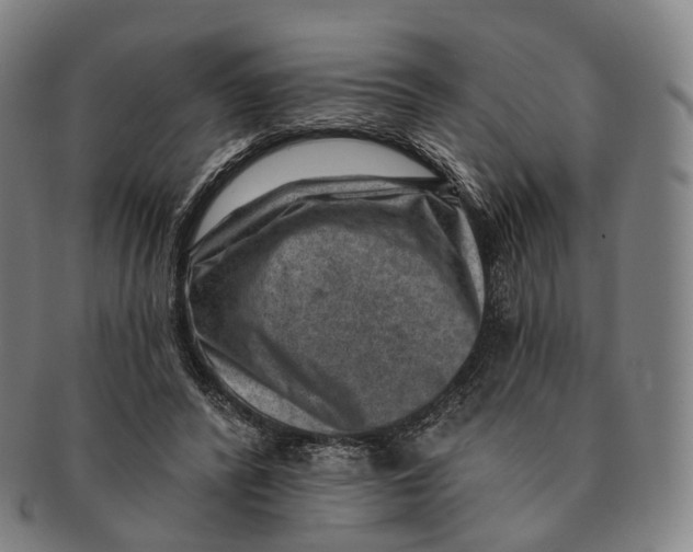 X0000091000400200708301339