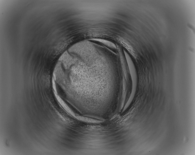 X0000091000401200708301339