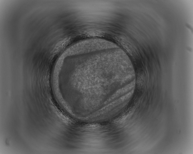 X0000091000402200708301339