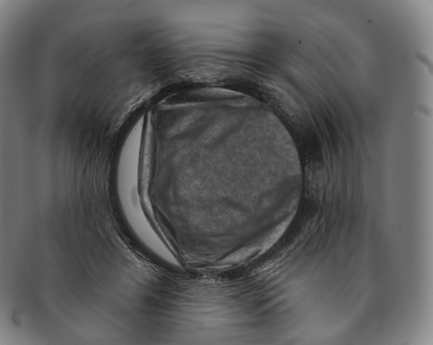 X0000091000404200708301339