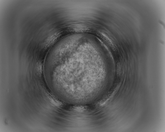 X0000091000405200708301339