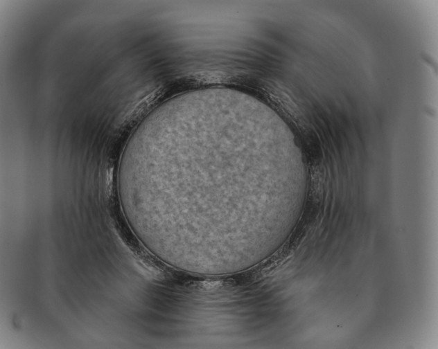 X0000091000406200708301339