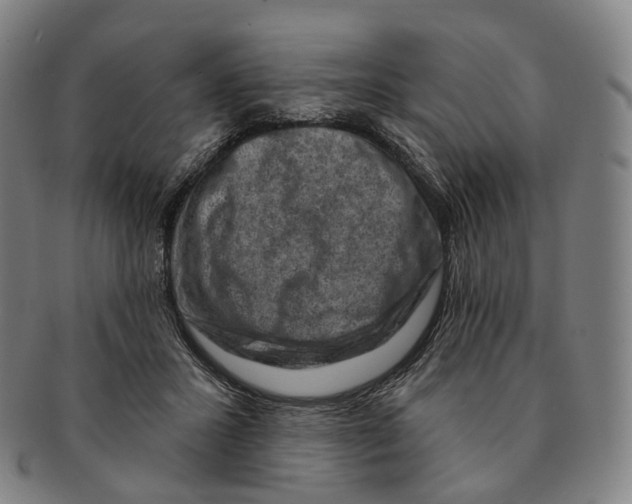 X0000091000407200708301339