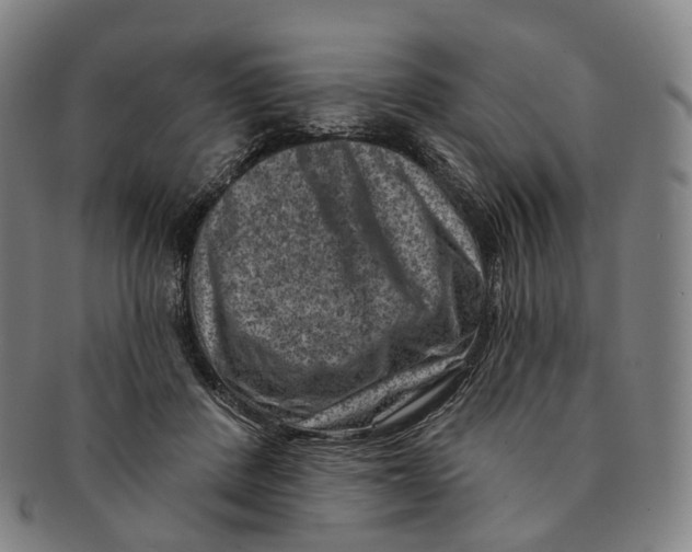 X0000091000408200708301339