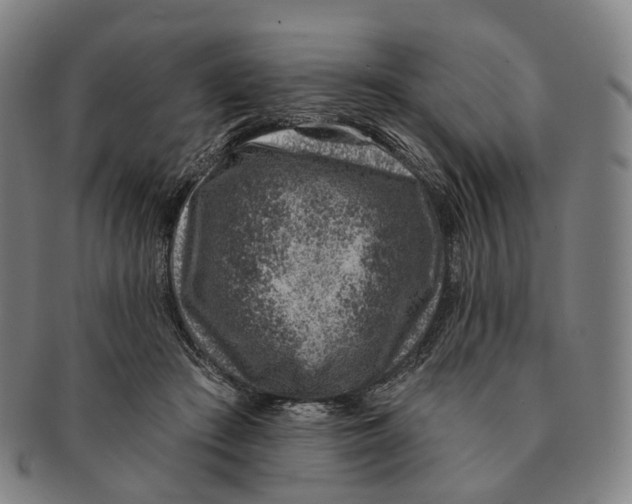 X0000091000409200708301339