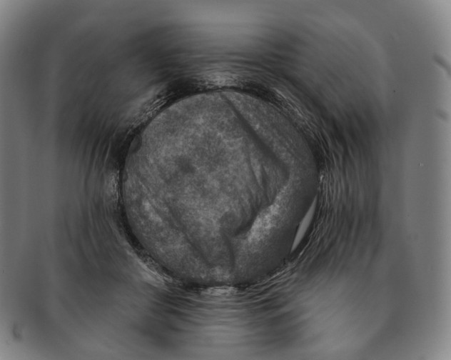 X0000091000410200708301339