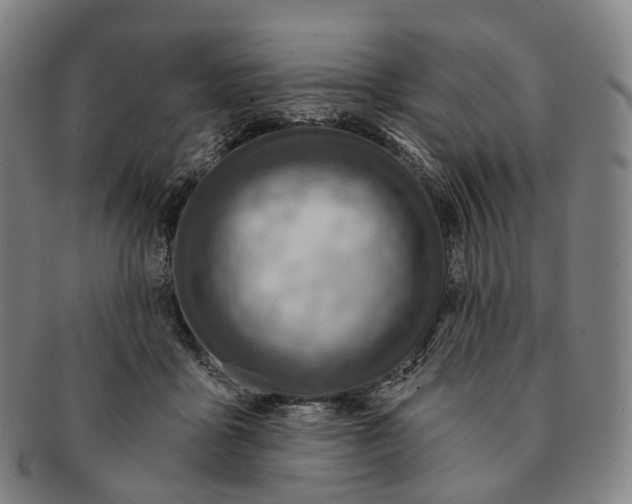 X0000091000411200708301339