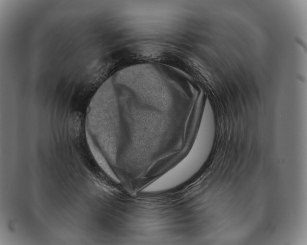 X0000091000412200708301339