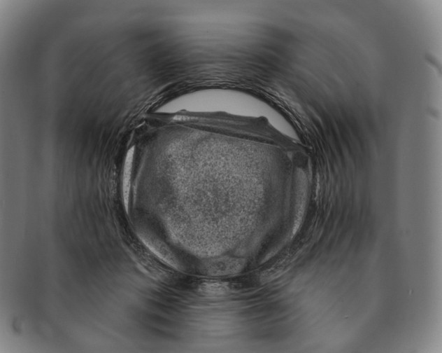 X0000091000413200708301339