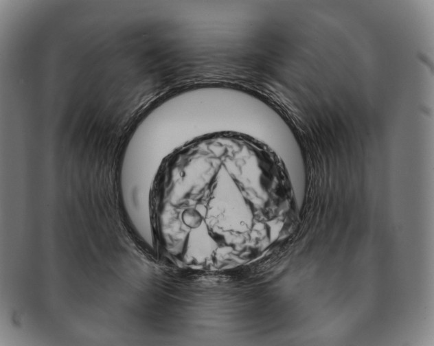 X0000091000415200708301339