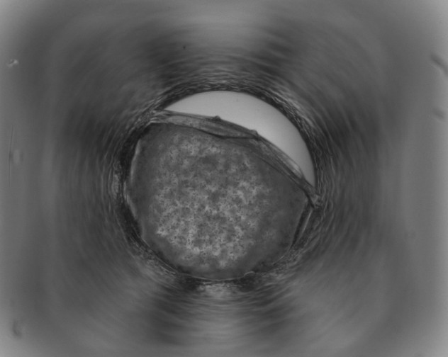 X0000091000417200708301339