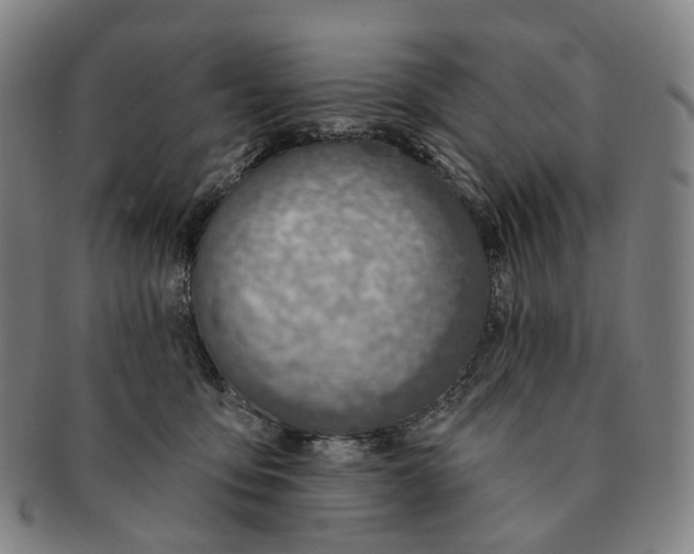 X0000091000419200708301339