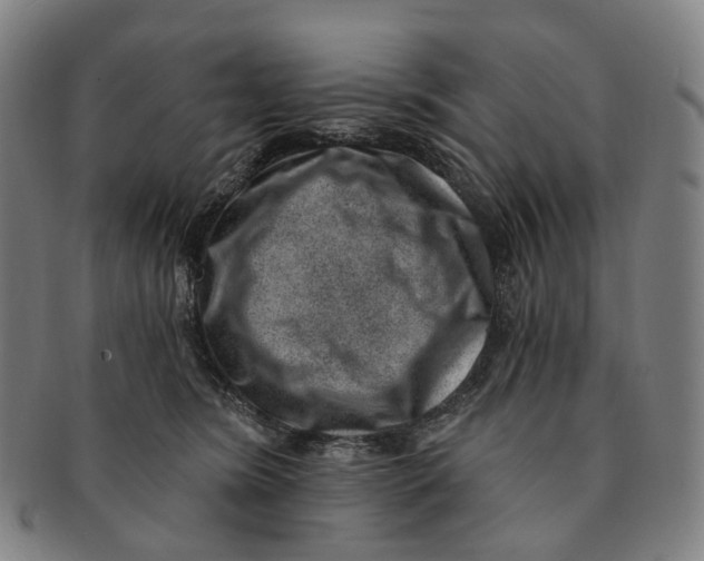 X0000091000420200708301339