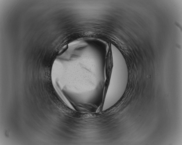 X0000091000421200708301339