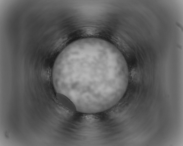 X0000091000423200708301339