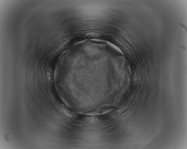 X0000091000424200708301339