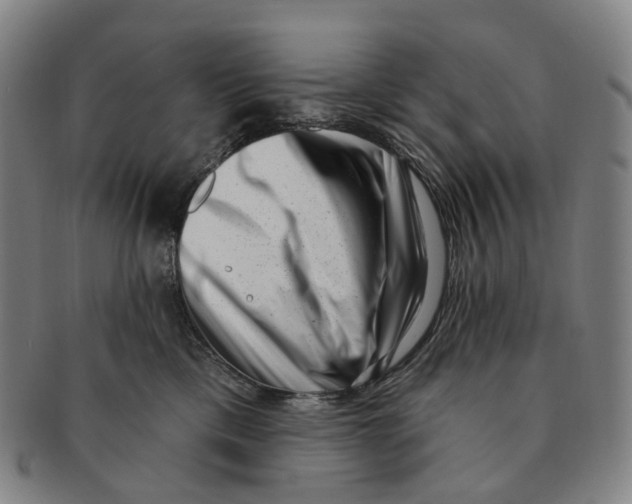 X0000091000425200708301339