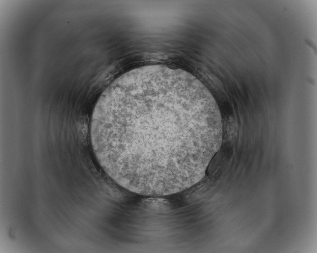 X0000091000427200708301339