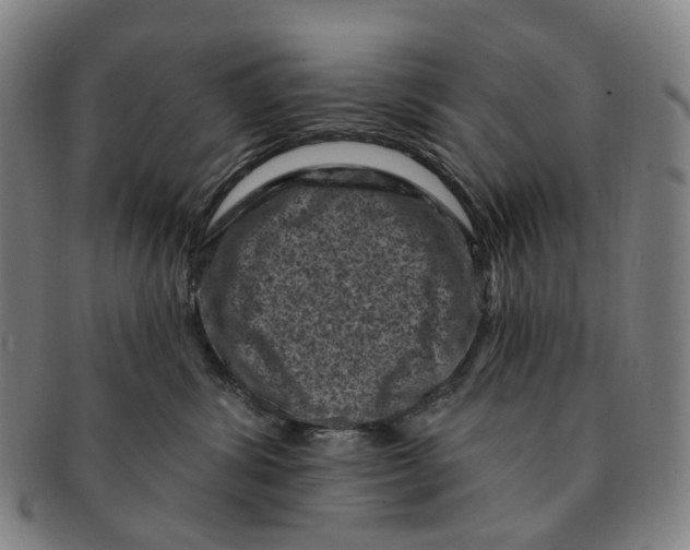 X0000091000428200708301339