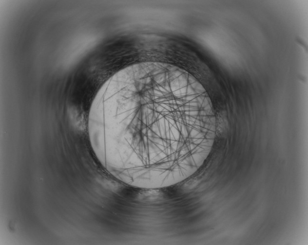 X0000091000431200708301339