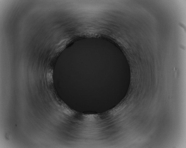 X0000091000432200708301339