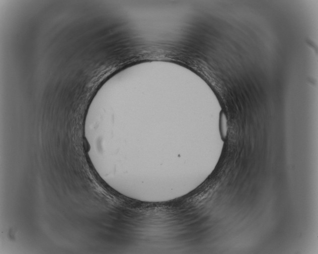 X0000091000433200708301338