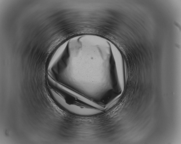 X0000091000437200708301338