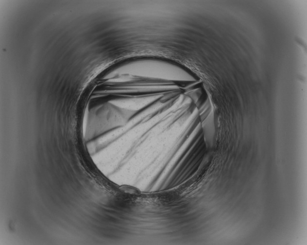 X0000091000440200708301338