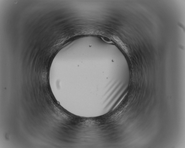 X0000091000441200708301338