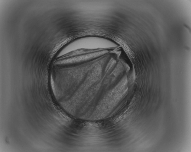 X0000091000442200708301338