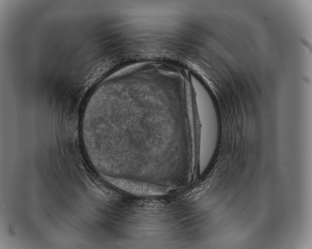 X0000091000443200708301338