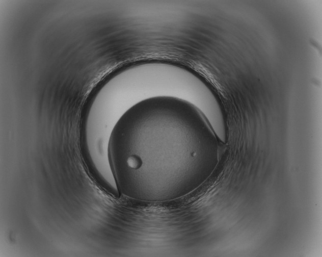 X0000091000444200708301338