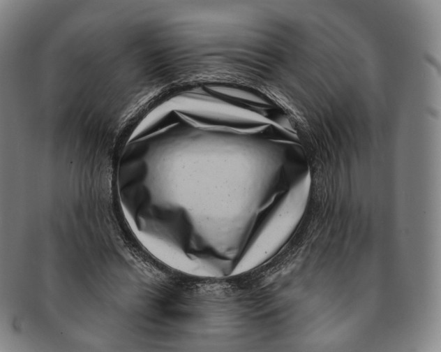 X0000091000446200708301338