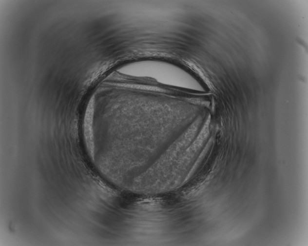 X0000091000447200708301338