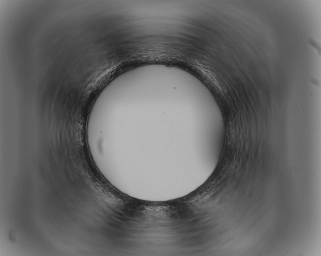 X0000091000450200708301338