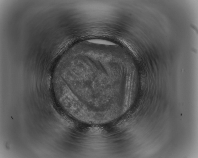 X0000091000451200708301338