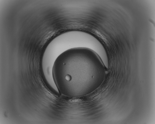 X0000091000452200708301338
