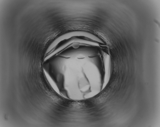 X0000091000453200708301338