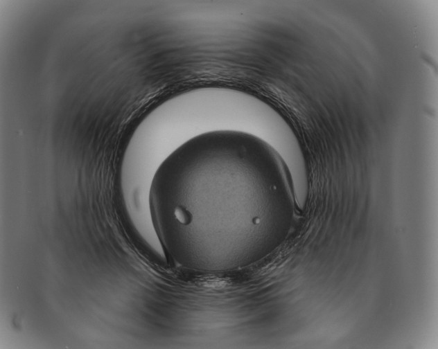 X0000091000456200708301338