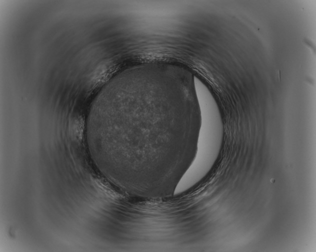 X0000091000458200708301338