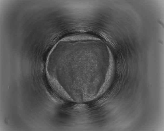 X0000091000459200708301338