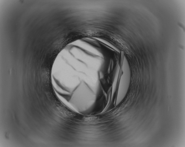 X0000091000461200708301338