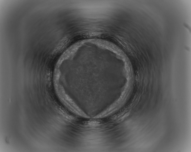 X0000091000462200708301338