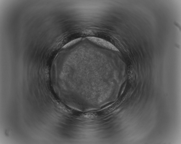 X0000091000466200708301338